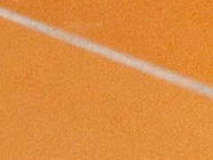 Zimmerbild 20