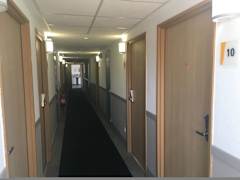 Zimmerbild 5
