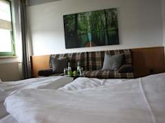Zimmerbild 2
