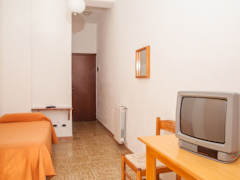 Zimmerbild 14