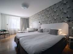 Zimmerbild 10