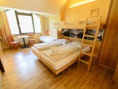 Zimmerbild 0