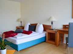 Zimmerbild 3