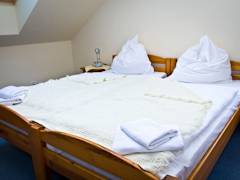 Zimmerbild 1