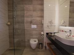 Zimmerbild 12