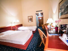 Zimmerbild 5