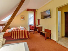 Zimmerbild 6