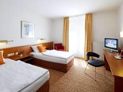 Zimmerbild 12