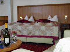 Zimmerbild 2