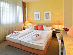Zimmerbild 3