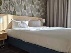 Zimmerbild 5