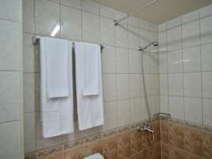 Zimmerbild 6