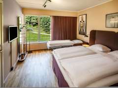 Zimmerbild 28