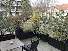 Zimmerbild 16