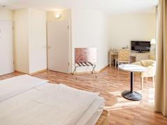Zimmerbild 5
