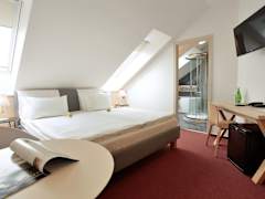 Zimmerbild 8