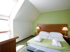 Zimmerbild 7
