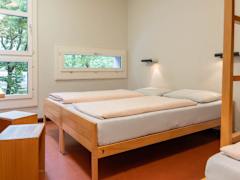 Zimmerbild 8