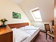 Zimmerbild 4