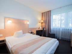 Zimmerbild 9
