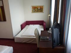 Zimmerbild 6