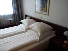 Zimmerbild 7