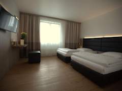 Zimmerbild 7