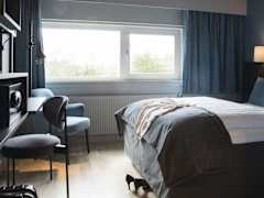Zimmerbild 19
