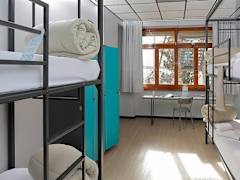 Zimmerbild 8