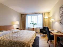 Zimmerbild 9
