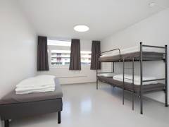 Zimmerbild 8
