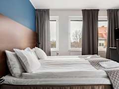 Zimmerbild 3