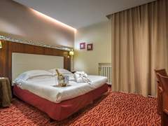 Zimmerbild 6