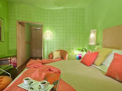 Zimmerbild 2