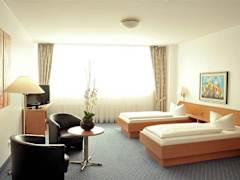 Zimmerbild 1