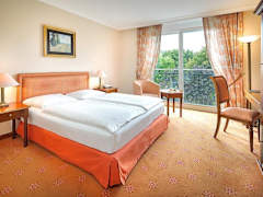 Zimmerbild 8