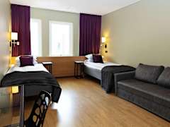 Zimmerbild 17