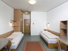 Zimmerbild 5