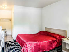Zimmerbild 3