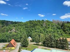 Zimmerbild 1