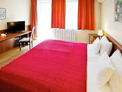 Zimmerbild 8