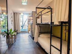 Zimmerbild 10