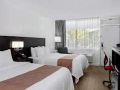 Zimmerbild 6