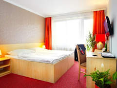 Zimmerbild 11