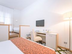 Zimmerbild 2