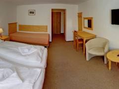 Zimmerbild 19