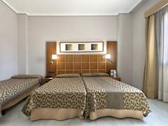 Zimmerbild 10