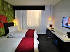 Zimmerbild 8