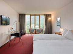Zimmerbild 5