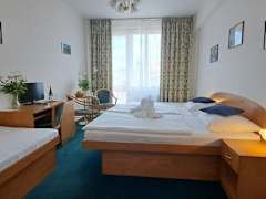 Zimmerbild 4